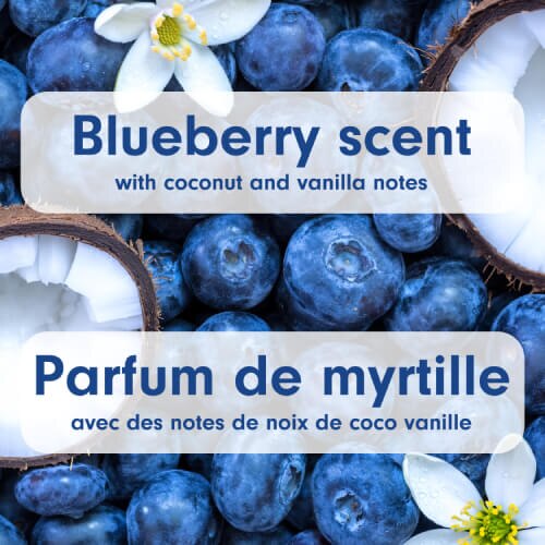 Blueberries and coconut. Text: "Blueberry scent with coconut and vanilla notes / Parfum de myrtille avec des notes de noix de coco vanille."