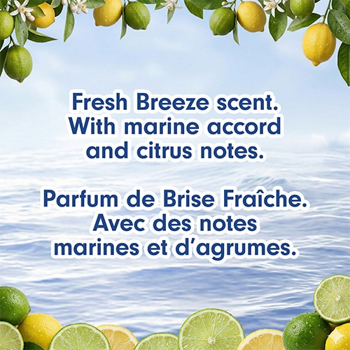 Two hands washing with a rich soap lather under running tap water in a white basin. Text: "Washes away Bacteria / Enlève les Bactéries".