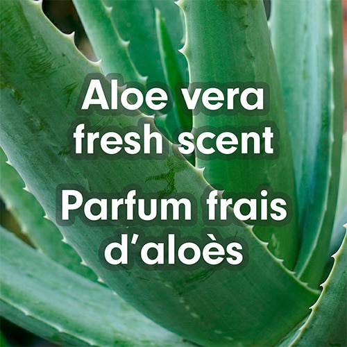 Extreme close-up of vibrant green aloe vera plant leaves, overlayed with text reading: "Aloe vera fresh scent / Parfum frais d'aloès".