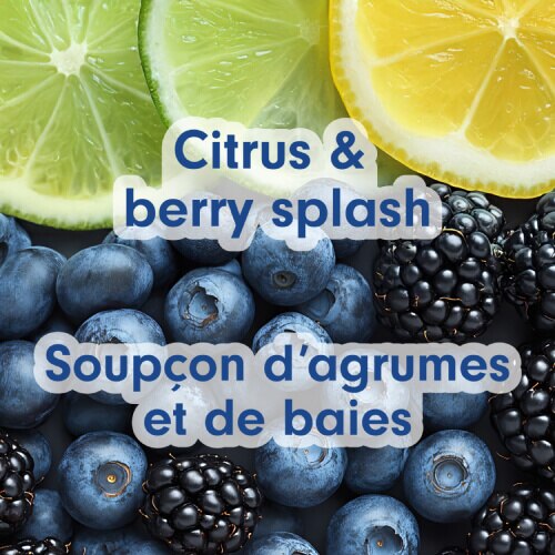 Composition artistique en gros plan de tranches de lime fraîche, de bleuets et de mûres. Le texte en superposition indique « Citrus & berry splash » et « Soupçon d'agrumes et de baies ».