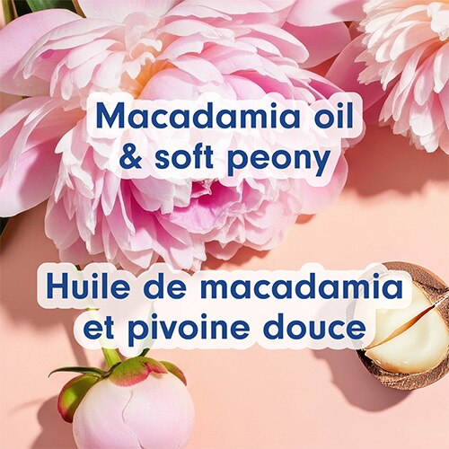 Un gros plan d'une fleur de pivoine rose et de noix de macadamia. Le texte indique : « Macadamia oil & soft peony » et « Huile de macadamia et pivoine douce ».