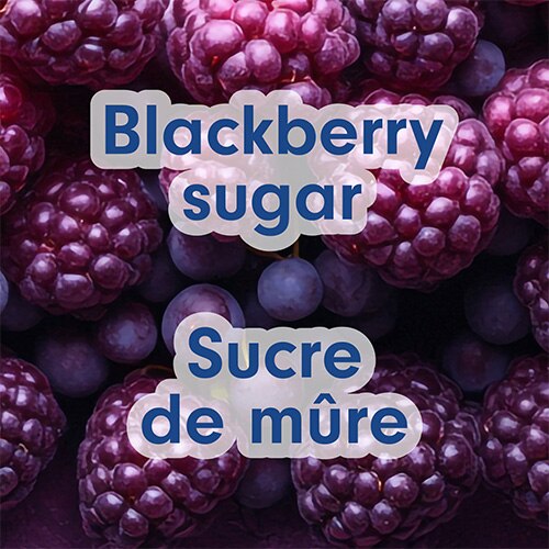 Arrière-plan photographique en gros plan de mûres mûres. Un texte en surimpression indique « Blackberry sugar » et « Sucre de mûre ».